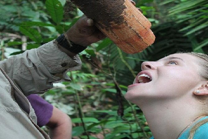 amazon-river-expeditions-with-guide-for-5-days-4-night-ecolodge