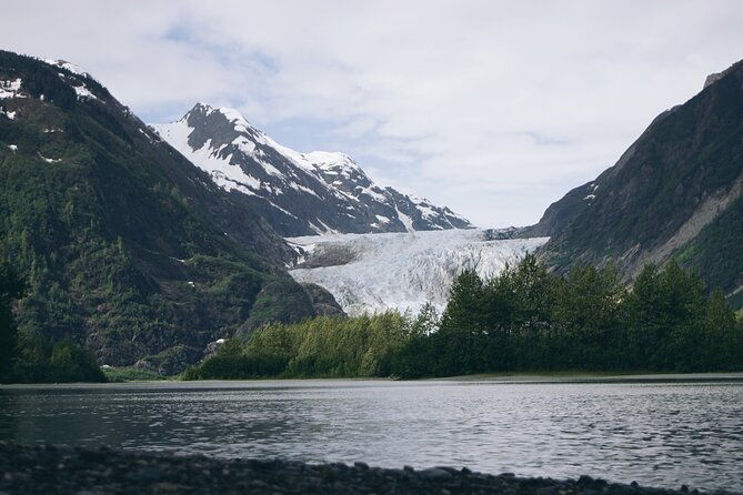 anchorage-to-seward-pre-cruise-curated-wildlife-tour-transfer