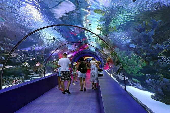 antalya-aquarium-and-face-to-face-wax-museum-ticket