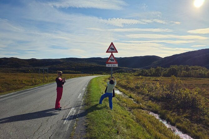 arctic-wildlife-and-fjord-sightseeing-2