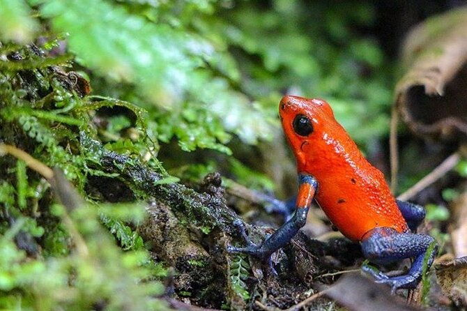 arenal-full-day-tour