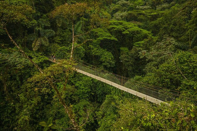 arenal-highlights-arenal-1-day-baldi-hot-springs-dinner