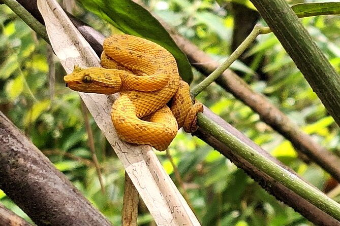 arenal-national-park-adventure