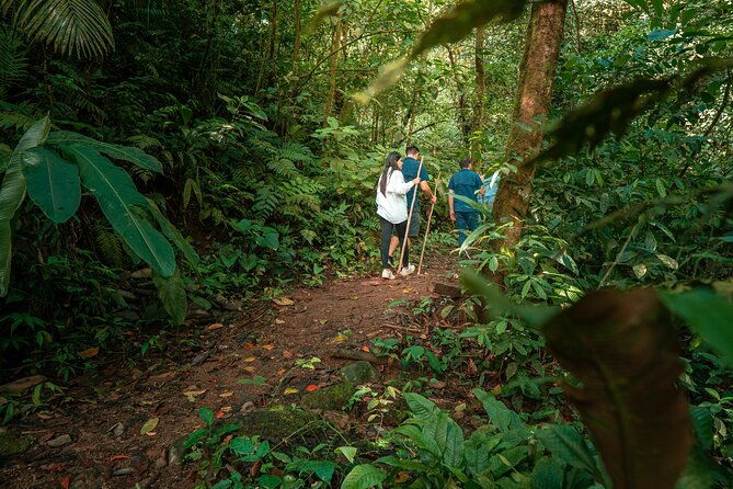 arenal-natural-hiking-trails