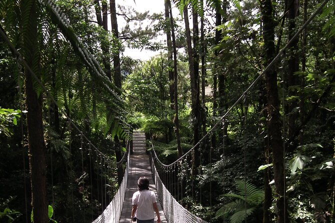 arenal-observatory-lodge-trails