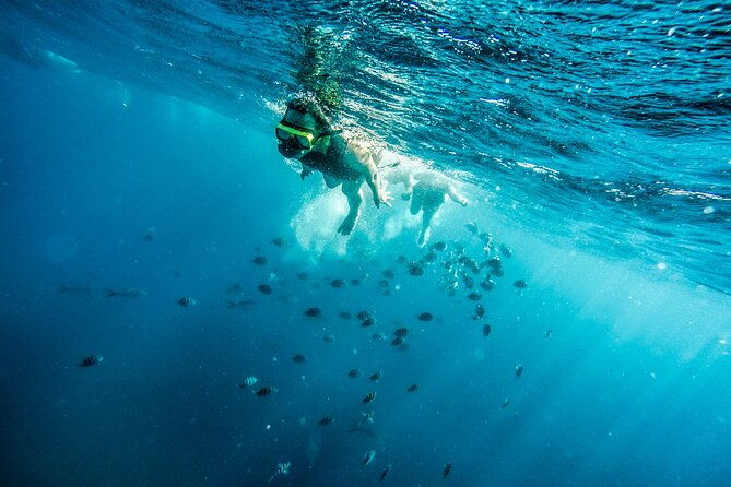 aruba-afternoon-snorkel-sail-aboard-palm-pleasure-catamaran