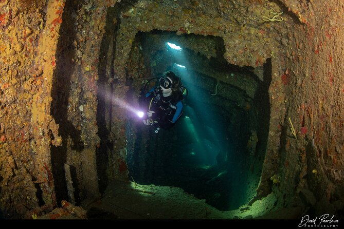 aruba-guided-night-dive-adventure-shallow-reefs-or-shipwrecks