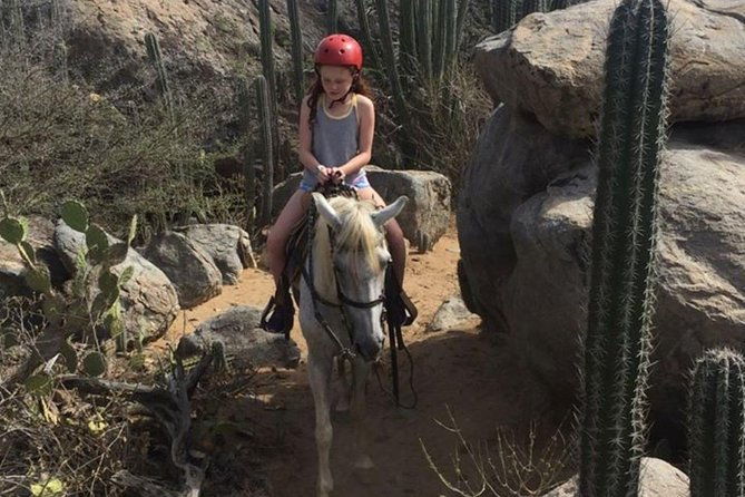 aruba-private-2-hour-horseback-riding-tour-for-advanced-riders