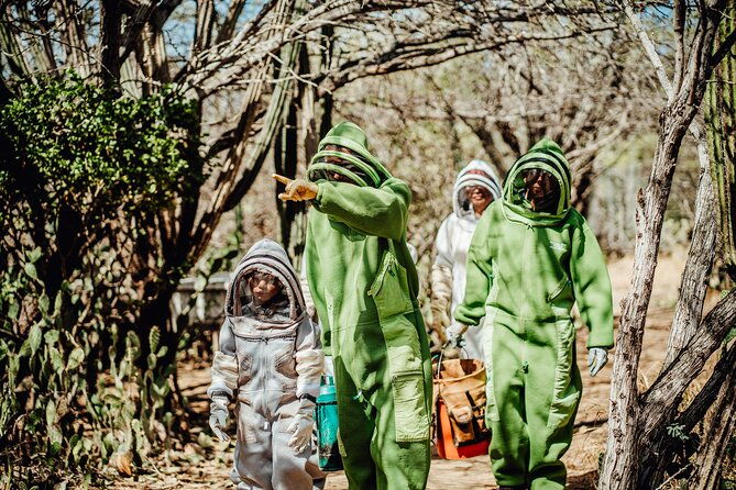arubas-bee-haven-private-adventure