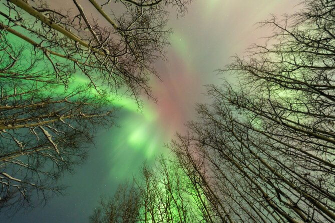 aurora-chasing-tour-with-free-photography