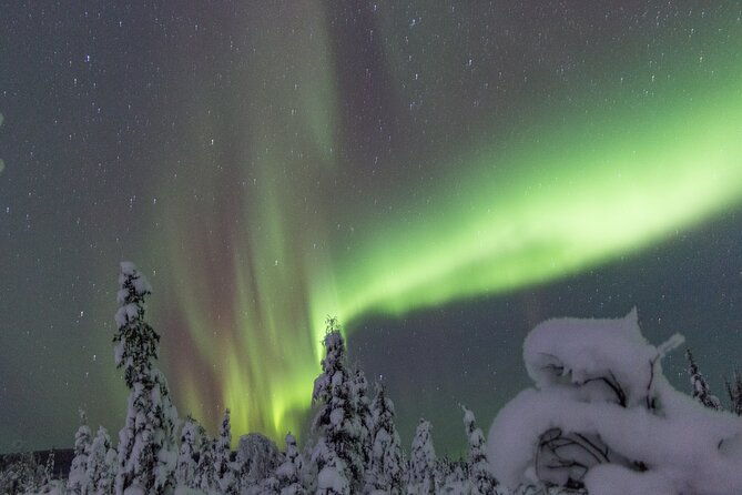 aurora-sleighers-snowmobile-tour-in-fairbanks
