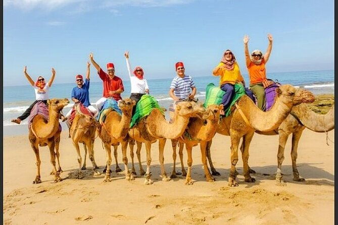 authentic-private-tangier-tour-from-cadiz-camel-ride-lunch