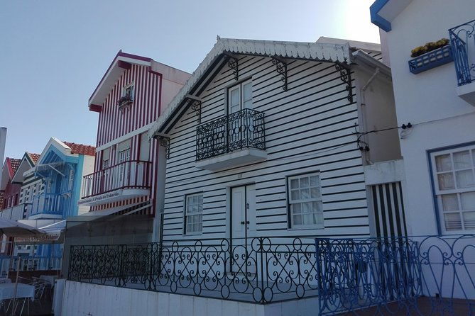 aveiro-costa-nova-beach-and-moliceiro-boat-half-day-from-coimbra-3