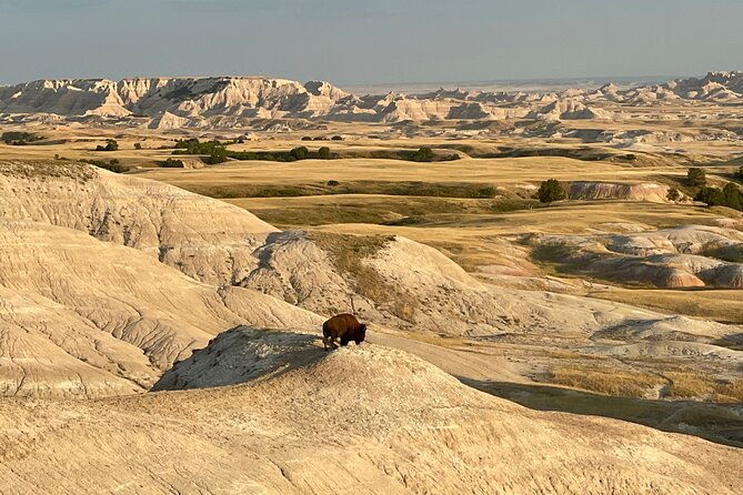 badlands-sunset-wildlife-natures-evening-glow