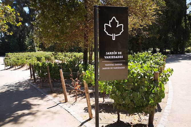 bahai-temple-main-winery-and-lapislazuli-with-private-transport