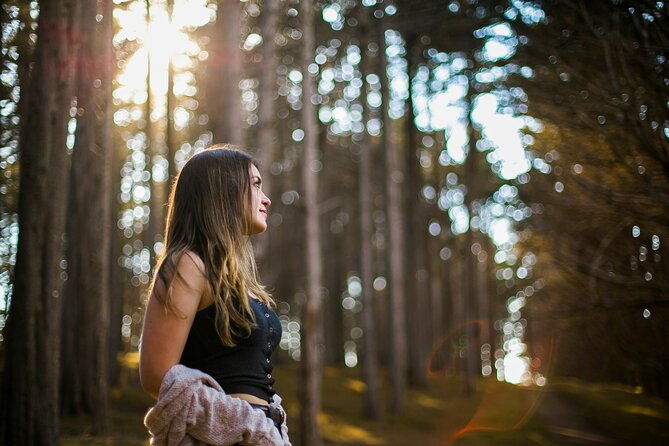 bainbridge-island-serenity-forest-hike-cultural-landmarks-tour