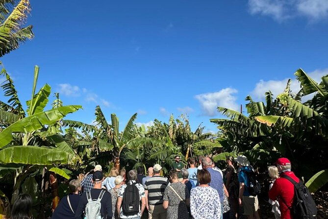 banana-museum-rum-distillery-winery-with-tasting-premium-tour