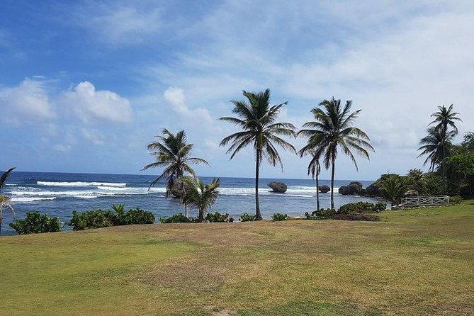 barbados-amazing-full-day-private-rural-excursion