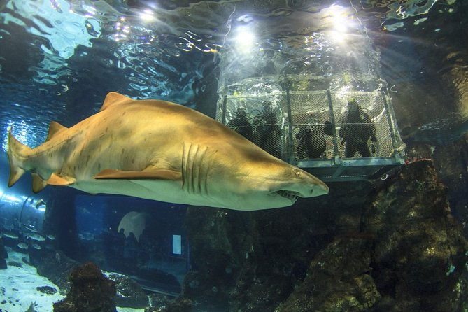 barcelona-city-tour-hop-on-hop-off-and-aquarium