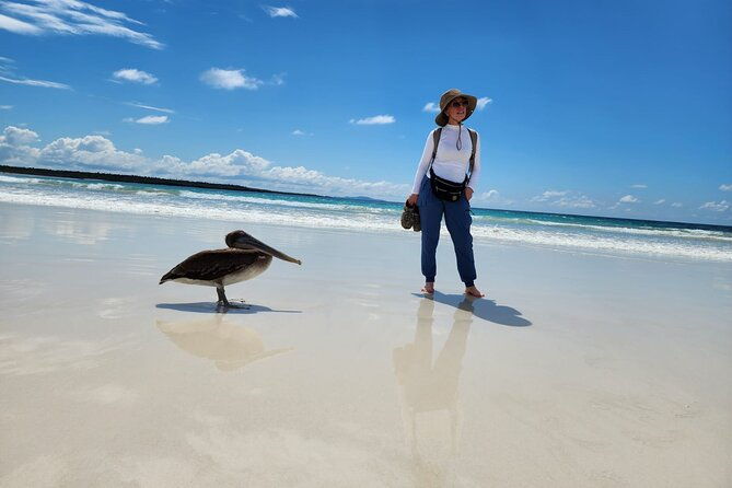 beach-wildlife-and-snorkel-adventure-with-underwater-specialist