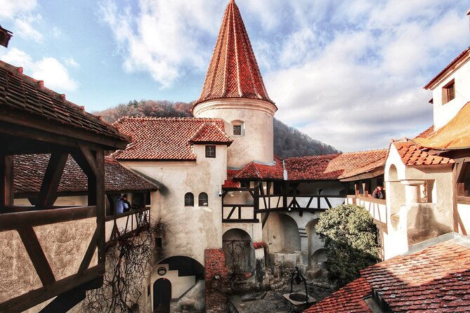 bear-sanctuary-bran-castle-rasnov-fortress-tour-from-brasov-2