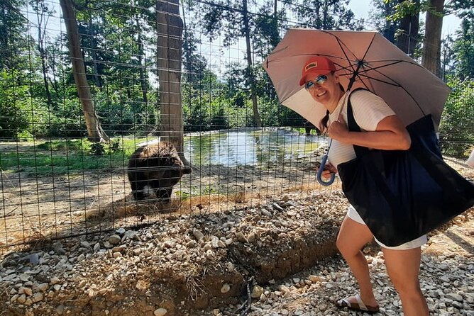 bears-sanctuary-dracula-castle-and-poiana-brasov-private-day-tour-from-brasov
