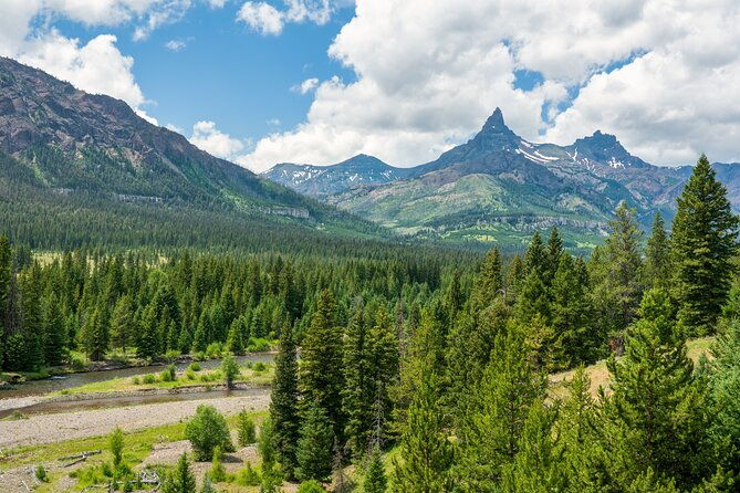 beartooth-highway-private-half-day-tour-2