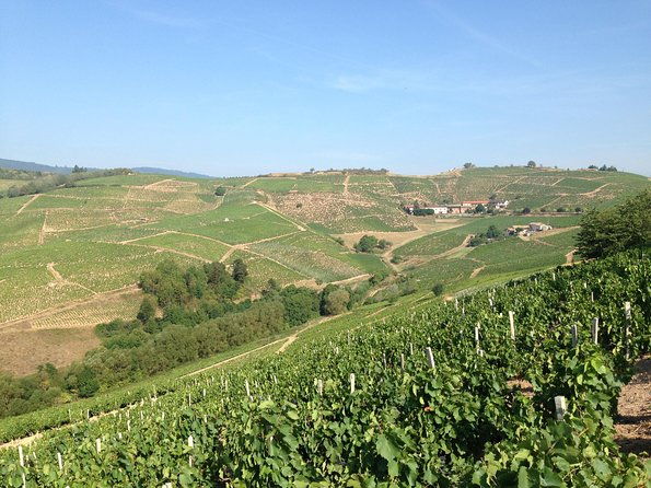 beaujolais-crus-wines-castles-900-am-130-pm-small-group-tour-from-lyon