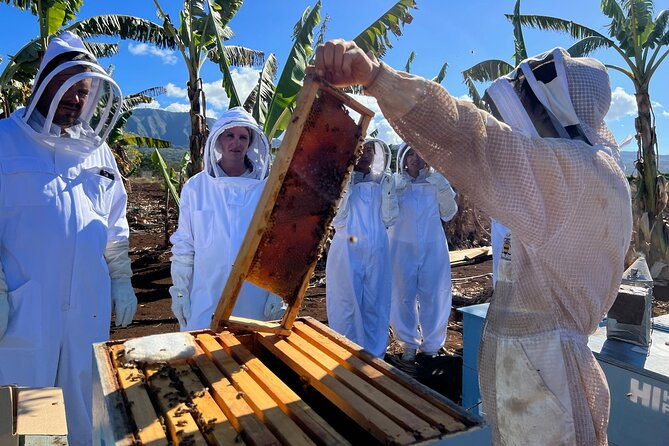 bee-farm-ecotour-and-honey-tasting-in-waialua-north-shore-oahu