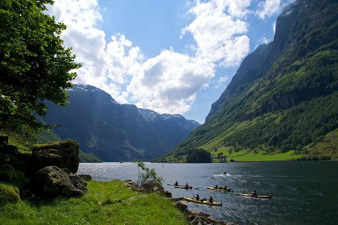 bergen-to-sognefjord-private-roudtrip-with-cruise-and-flasmbana