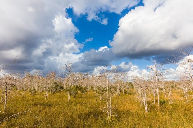 big-cypress-national-preserve-self-guided-driving-audio-tour