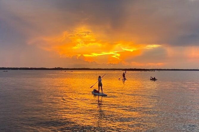 bioluminescence-clear-kayak-or-paddleboard-tour-near-orlando