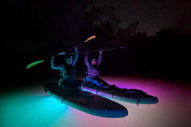 bioluminescent-comb-jelly-led-kayak-paddle-board-excursion