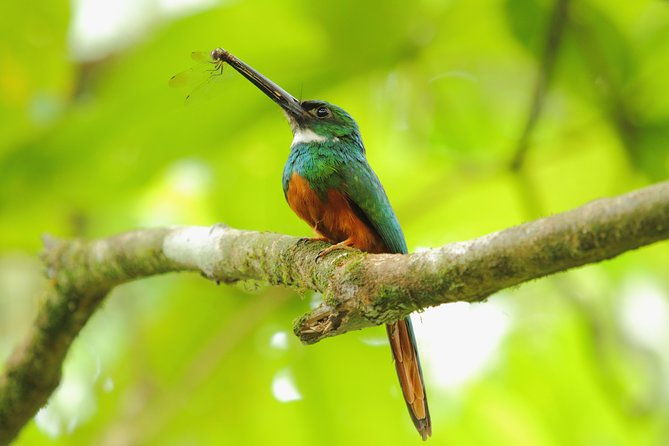 birdwatching-at-mundo-aventura-natural-park