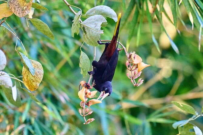 birdwatching-in-a-private-nature-reserve
