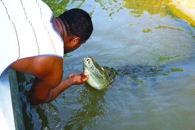 black-river-safari-ys-falls-combo-with-transport-from-montego-bay