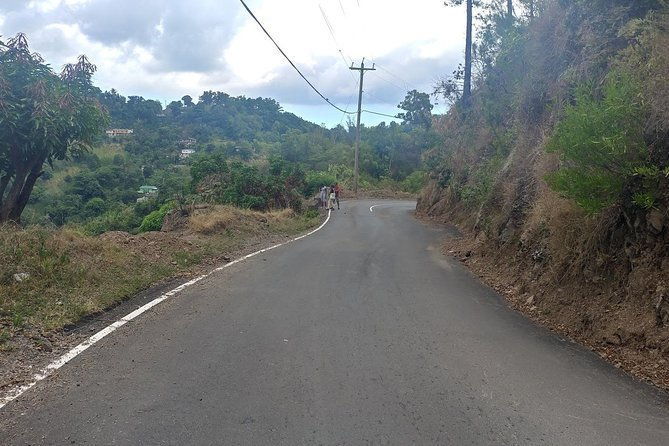 blue-mountains-coffee-private-tour-from-kingston