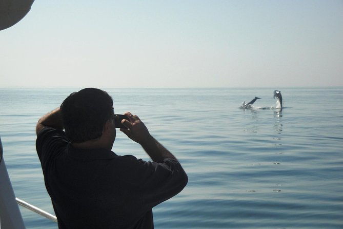 boat-trip-for-dolphin-watching-along-the-arrabida-coast-and-sesimbra