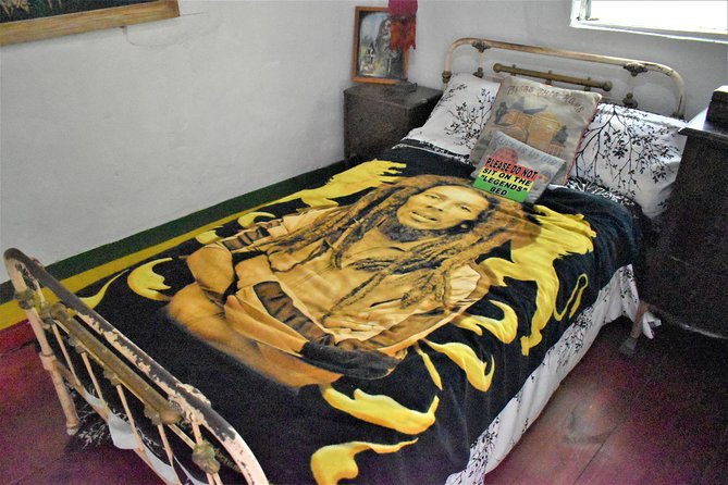 bob-marleys-nine-mile-day-trip-with-admission-guided-tour-from-falmouth