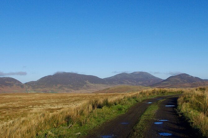 bog-safari-hike-2