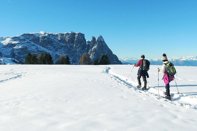 bolzano-dolomites-winter-hiking-sledding-experience