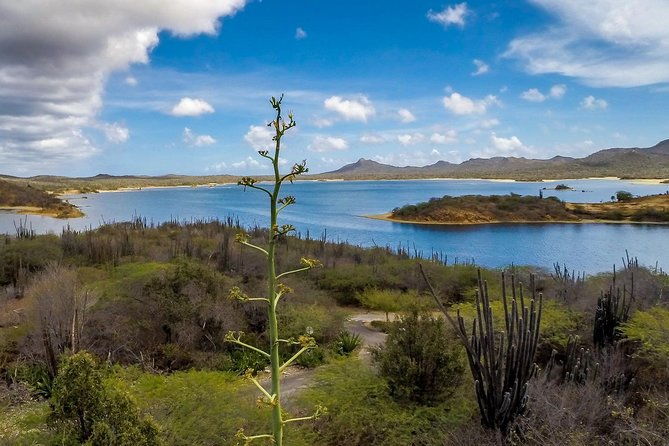 bonaire-essentials-island-tour