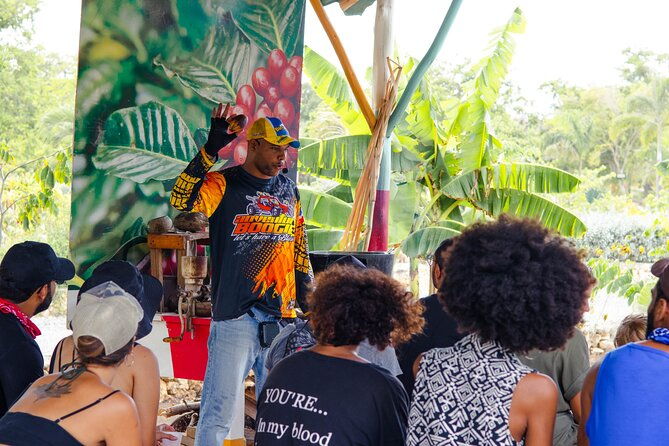 boogie-adventure-with-taino-show-cenote-and-mamajuana-tasting