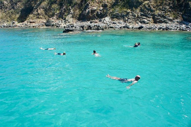 boomerangs-best-of-st-martin-maarten-swim-with-turtles