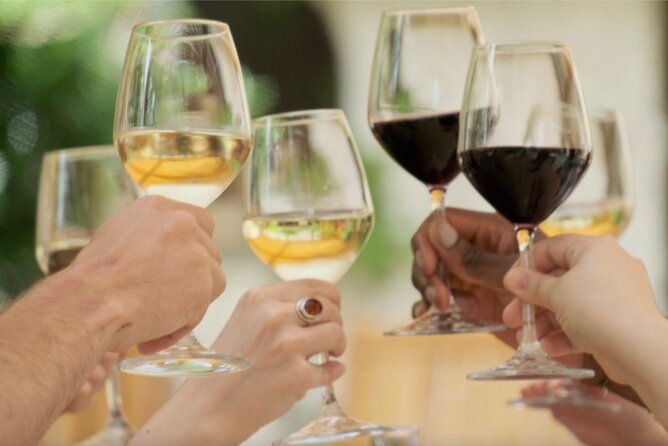 bordeaux-full-day-wine-tastings-gourmet-lunch