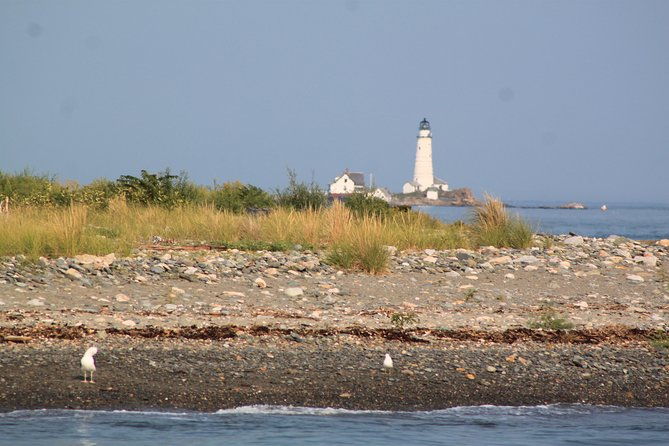 boston-harbor-sightseeing-cruise