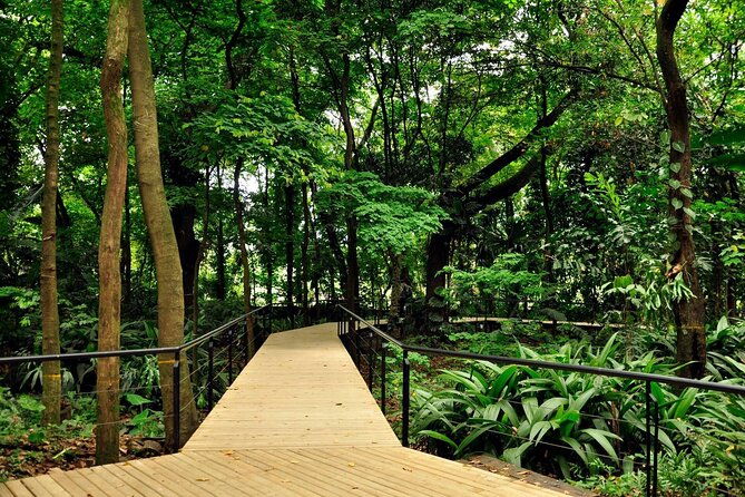 botanical-garden-and-arvi-park-medellin-city-tour
