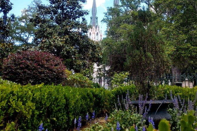 botanical-tour-by-walk-with-me-savannah-tours