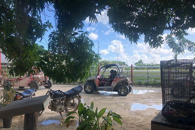buggies-half-day-experience-and-cenote