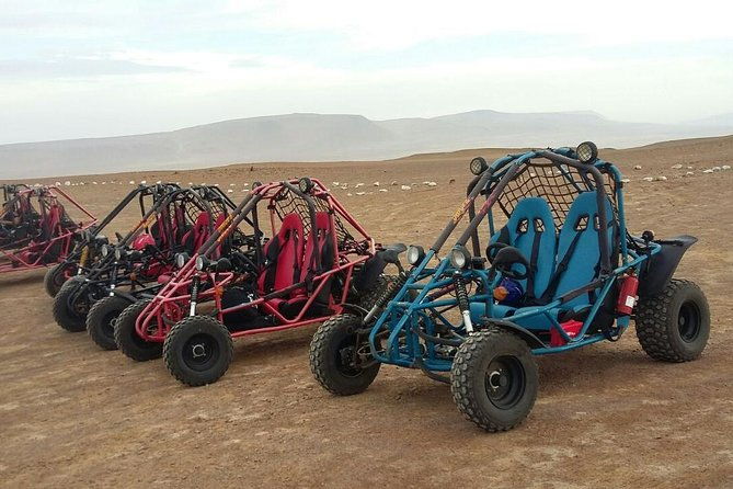 buggy-ride-in-paracas-national-reserve